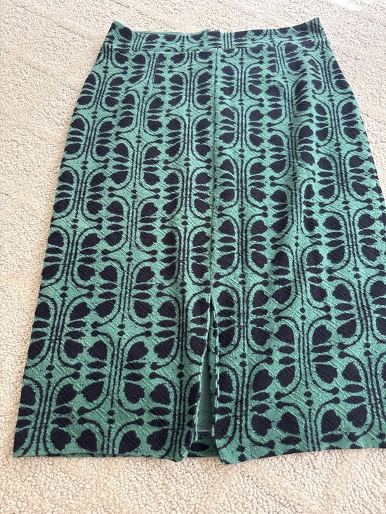 Maeve Dresses & Skirts - Anthropologie Maeve skirt sz L